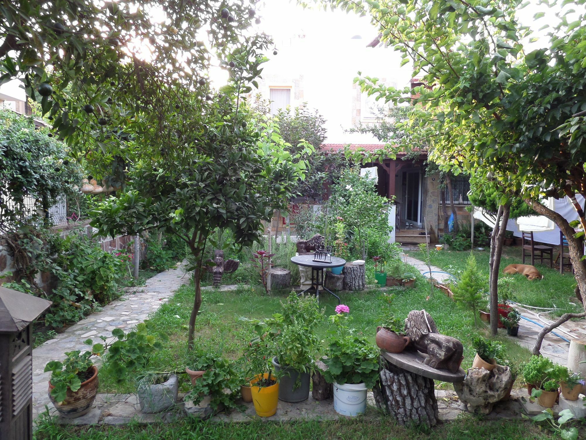 Apart Тургутрейс Екстериор снимка